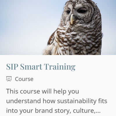 Online course: SIP Smart Training